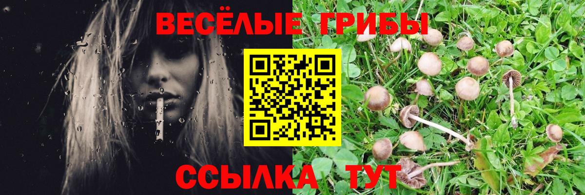 Галлюциногенные грибы Psilocybe  Вход с VPN  Апшеронск 