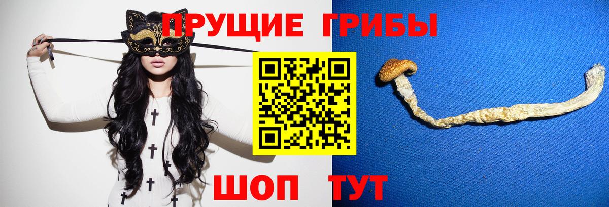 Галлюциногенные грибы мухоморы Апшеронск
